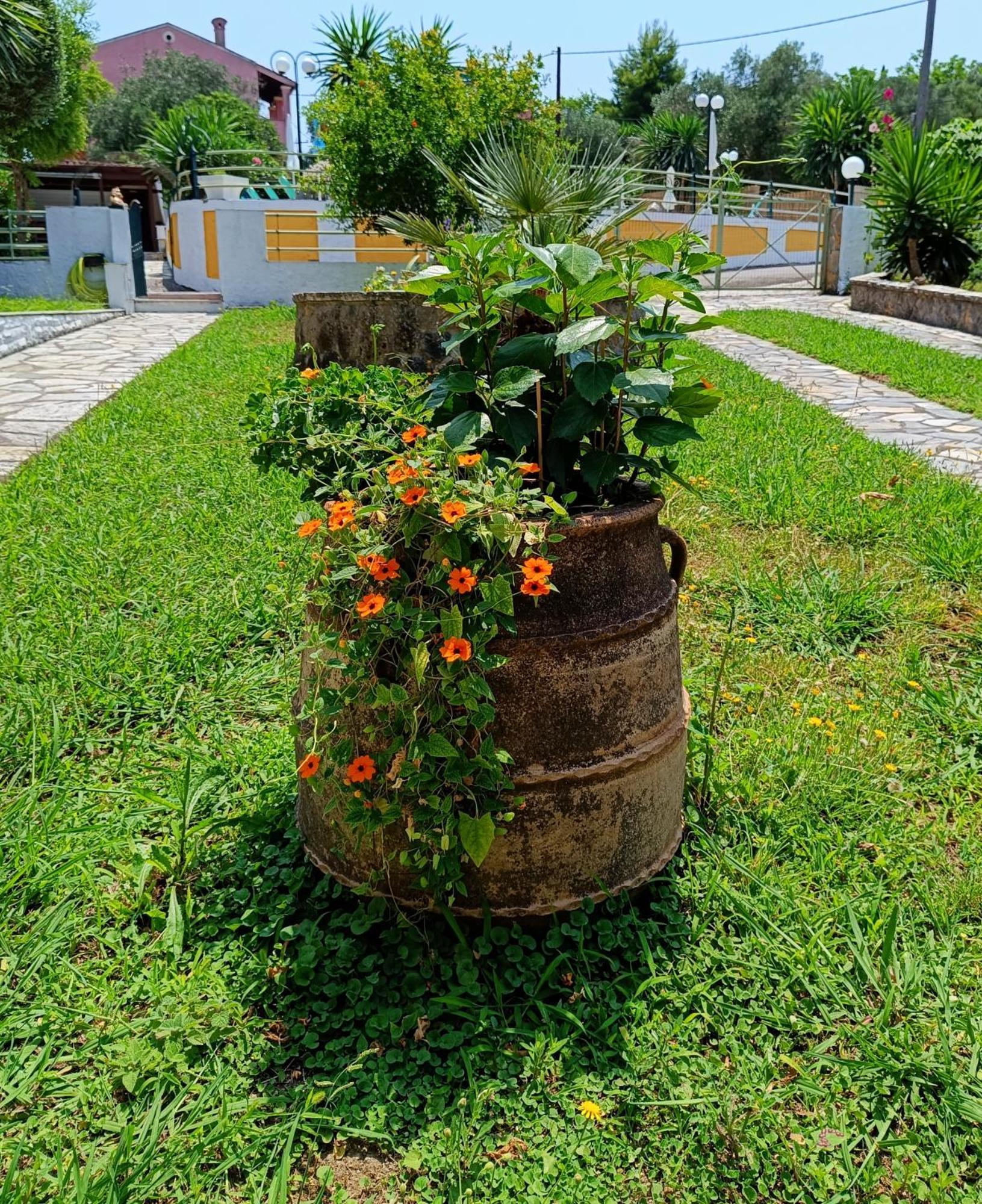 Kato Korakiana Villa Marinos מראה חיצוני תמונה